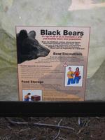 Image IMG_4679.JPG