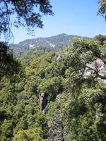 Image IMG_4707.JPG