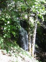 As you are walking down the steep trail to get to Crystal Cave, you follow a creek cascading down to around the same area.