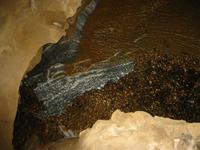 Image IMG_4743.JPG