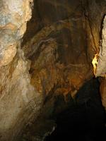 Image IMG_4749.JPG