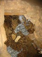 Image IMG_4750.JPG