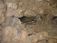 Image IMG_4754.JPG