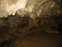Image IMG_4757.JPG