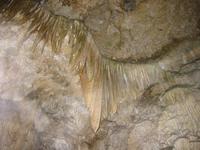 Image IMG_4767.JPG