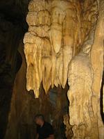 Image IMG_4768.JPG