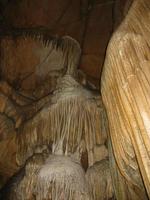 Image IMG_4770.JPG