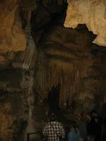 Image IMG_4772.JPG