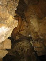 Image IMG_4774.JPG