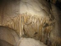 Image IMG_4778.JPG