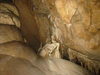 Image IMG_4780.JPG
