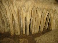 Image IMG_4786.JPG