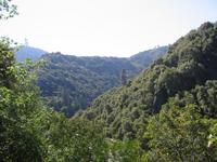 Image IMG_4812.JPG