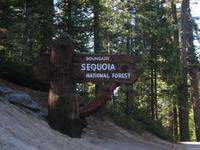 Oh yea, the sign.  I should take a picture of that.