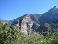 Image IMG_4834.JPG