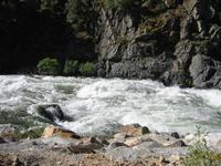 Kings River.  Wanna go for a swim?