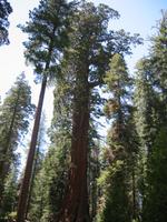 Image IMG_4911.JPG