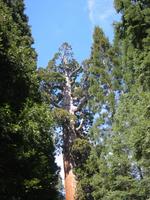 Image IMG_4920.JPG