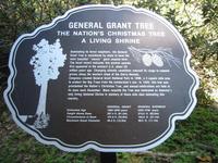 You can see the General Sherman in Day 11's pictures.