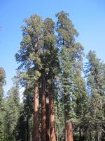 Image IMG_4937.JPG