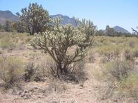 Image IMG_5057.JPG