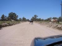Slow cross traffic.