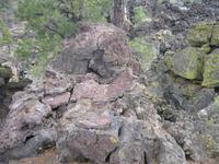 Image IMG_5091.JPG