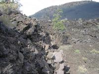 Image IMG_5094.JPG