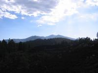Image IMG_5102.JPG