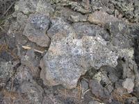 Image IMG_5107.JPG
