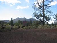 Image IMG_5115.JPG
