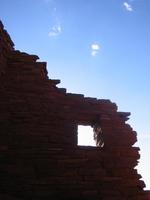 Image IMG_5168.JPG