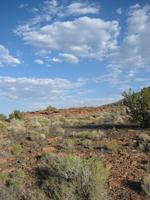 Image IMG_5177.JPG