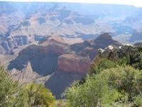 Image IMG_5201.JPG