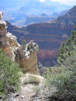 Image IMG_5202.JPG