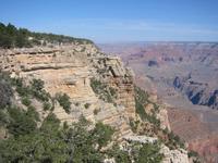 Image IMG_5207.JPG