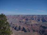Image IMG_5218.JPG