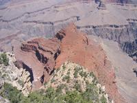 Image IMG_5260.JPG