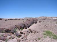 Image IMG_5428.JPG