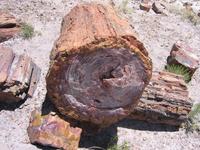 Image IMG_5432.JPG