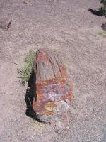 Image IMG_5444.JPG