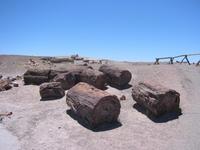 Image IMG_5445.JPG