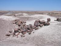 Image IMG_5450.JPG