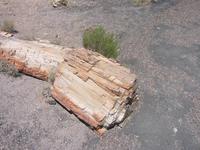 Image IMG_5458.JPG