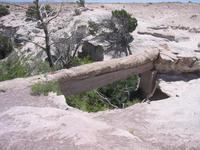 Agate Bridge, a petrified log bridging a small wash.  Now with extra concrete supports.