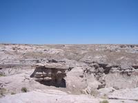Image IMG_5473.JPG