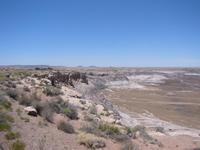 Image IMG_5480.JPG