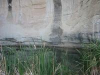 Which fills this pool, hidden behind the grass.