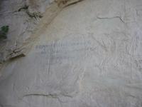 Image IMG_5543.JPG