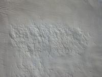 Image IMG_5571.JPG